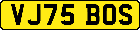 VJ75BOS