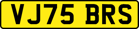 VJ75BRS
