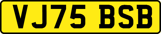 VJ75BSB