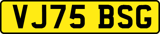 VJ75BSG