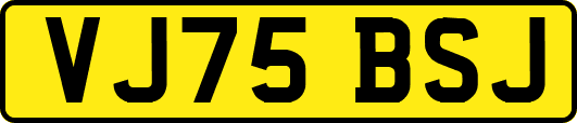 VJ75BSJ