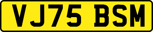 VJ75BSM