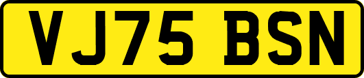 VJ75BSN