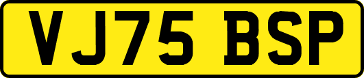 VJ75BSP
