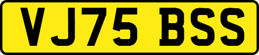 VJ75BSS