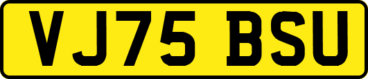 VJ75BSU