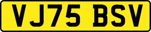 VJ75BSV