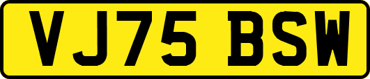 VJ75BSW