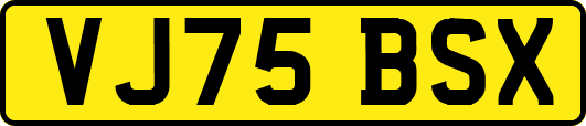 VJ75BSX