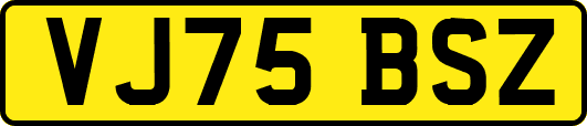 VJ75BSZ