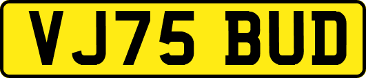 VJ75BUD
