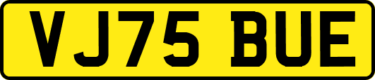 VJ75BUE