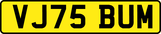 VJ75BUM