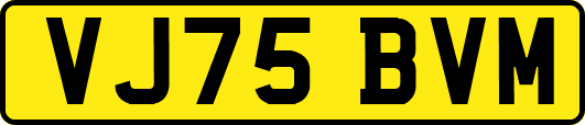 VJ75BVM