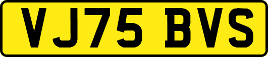 VJ75BVS