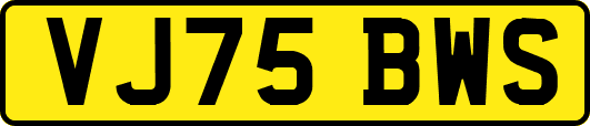 VJ75BWS