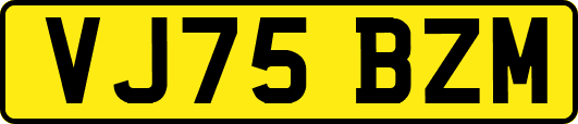 VJ75BZM