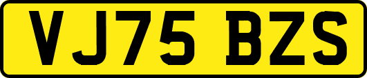 VJ75BZS