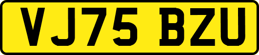 VJ75BZU