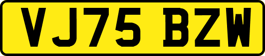 VJ75BZW