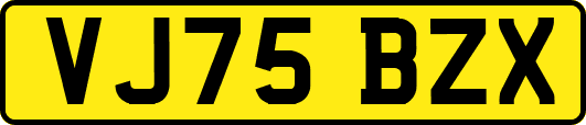 VJ75BZX