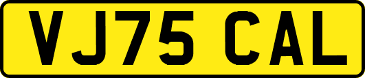 VJ75CAL