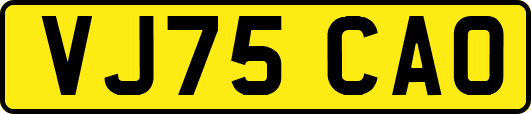 VJ75CAO