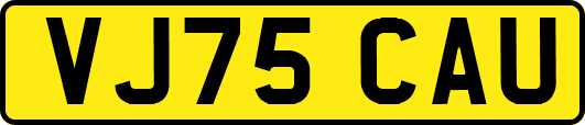 VJ75CAU