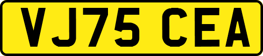 VJ75CEA