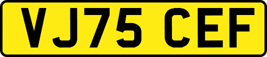 VJ75CEF