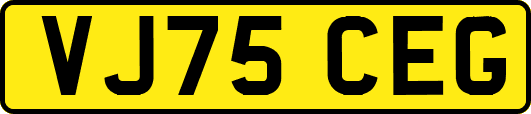 VJ75CEG