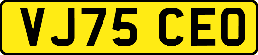 VJ75CEO