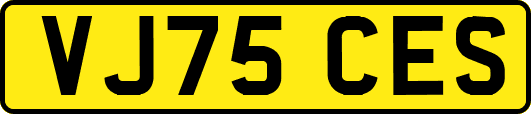 VJ75CES