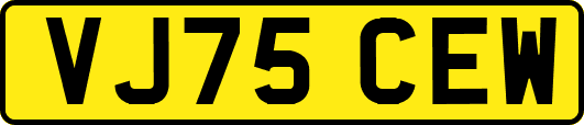 VJ75CEW