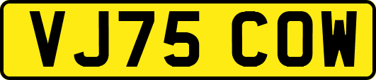 VJ75COW