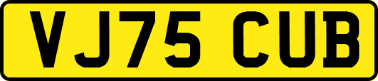 VJ75CUB