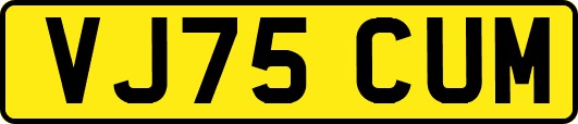 VJ75CUM