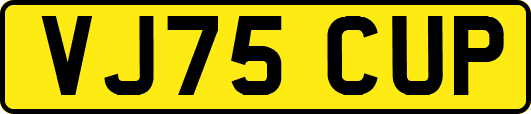 VJ75CUP