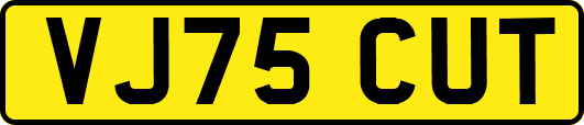 VJ75CUT