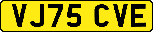 VJ75CVE