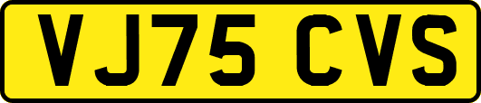 VJ75CVS