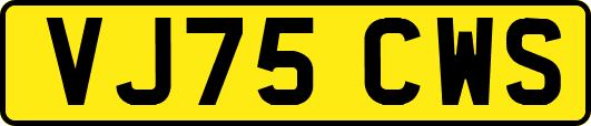 VJ75CWS