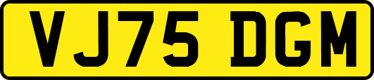 VJ75DGM