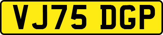 VJ75DGP
