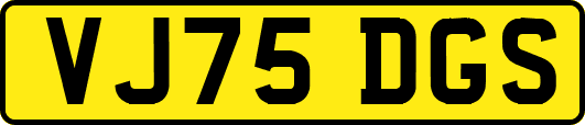 VJ75DGS