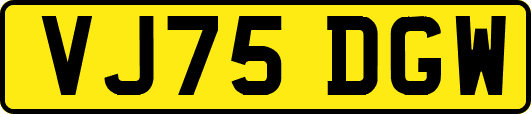 VJ75DGW