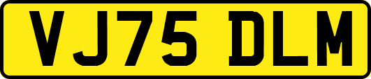 VJ75DLM
