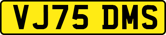 VJ75DMS