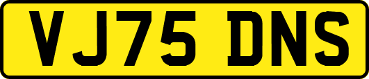 VJ75DNS