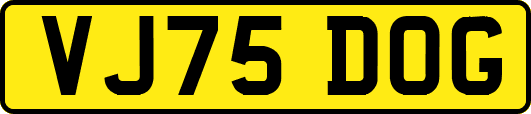 VJ75DOG